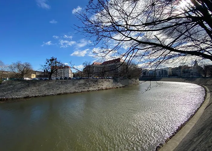 Przytulny apartament w centrum miasta